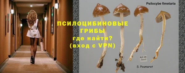 эйфоретик Белоозёрский