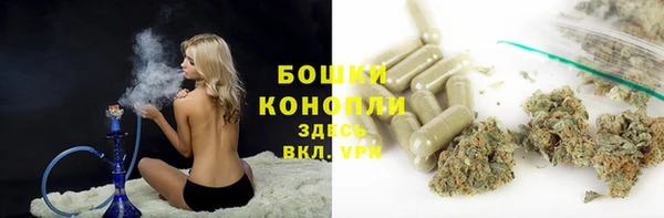 стафф Беломорск