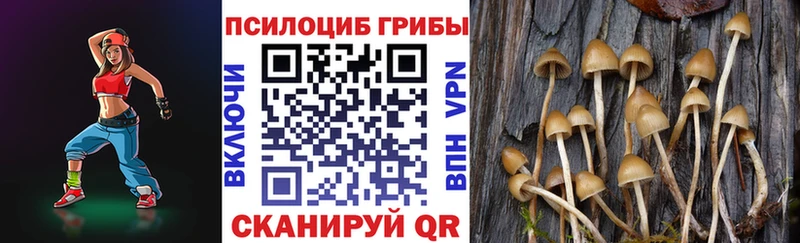 Галлюциногенные грибы Psilocybine cubensis  Павловск 