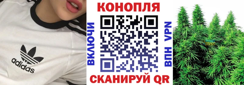 Бошки марихуана Amnesia  площадка клад  Павловск 